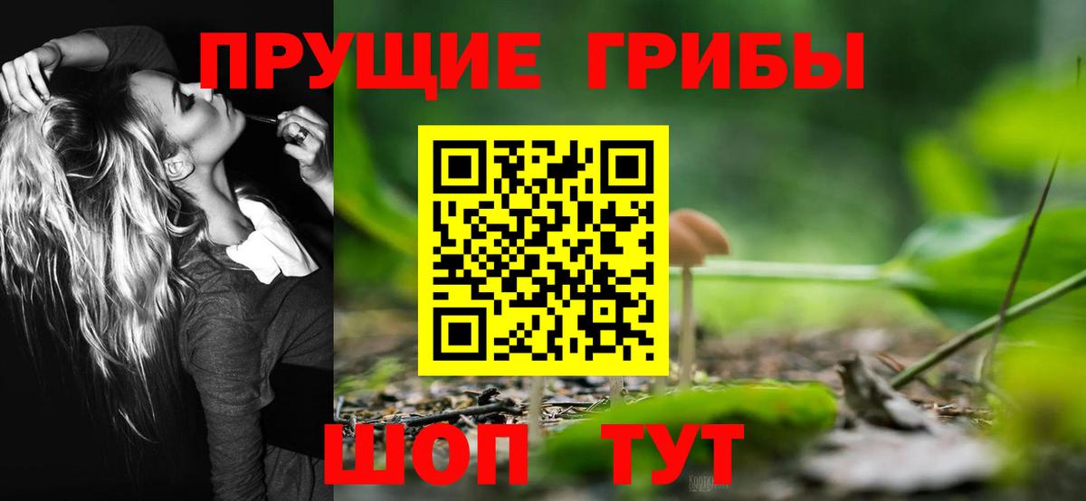 Псилоцибиновые грибы ЛСД  Вход с VPN  Североморск 