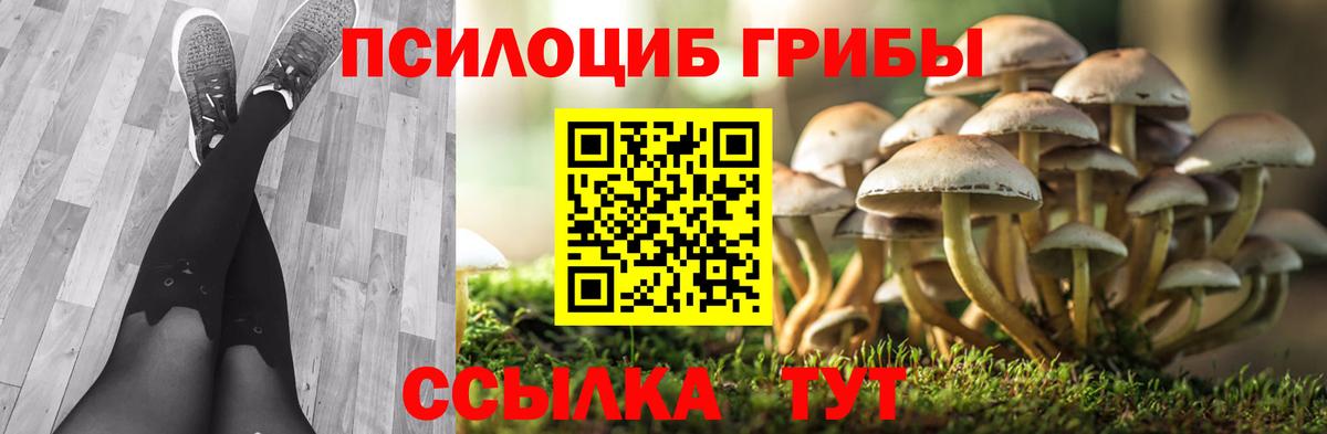 Галлюциногенные грибы Magic Shrooms Североморск
